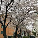 Cherry Blossoms Room